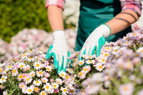 Gardener working in a small terraced garden in Rotherhithe near a high street