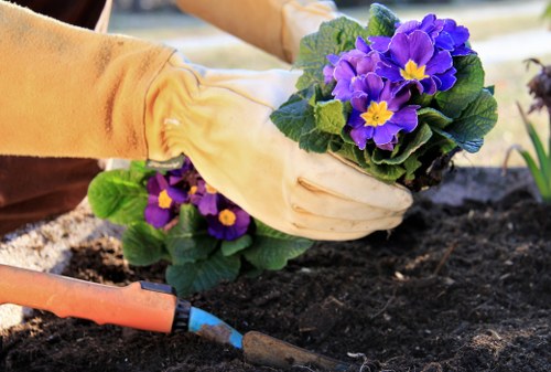 Gardener reviewing risk assessment documents on site in Rotherhithe